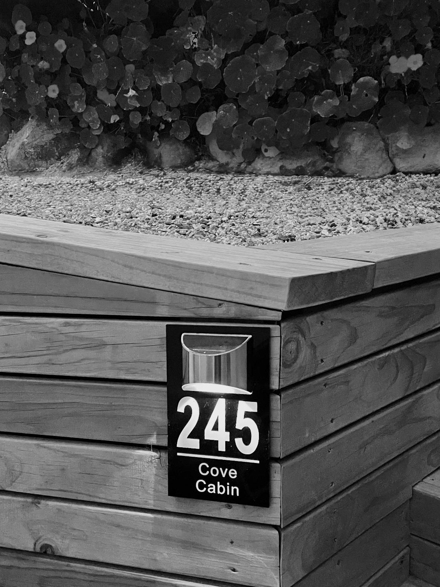 The Cove Cabin - Your Quiet Escape Dunedin Exterior photo
