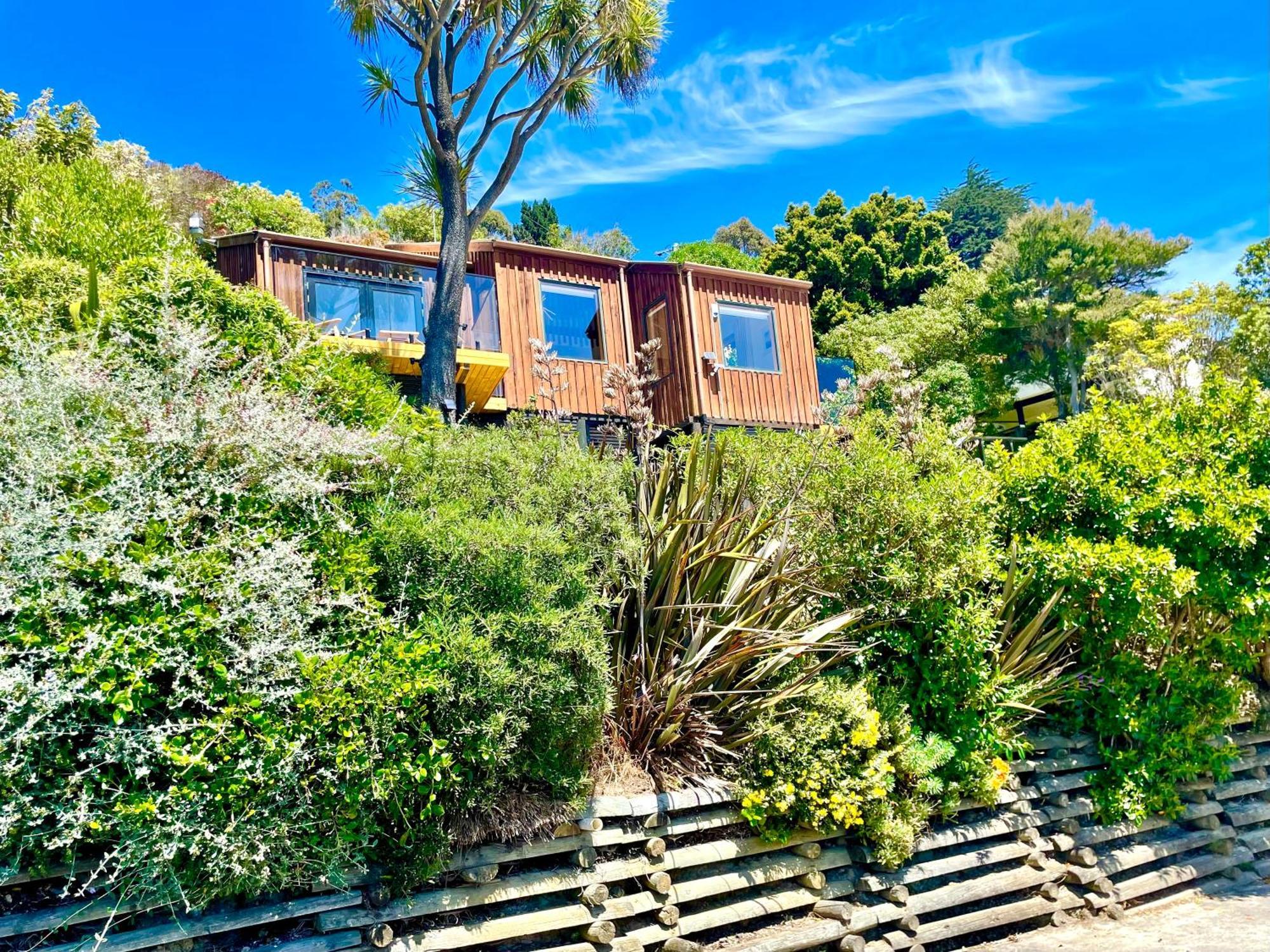 The Cove Cabin - Your Quiet Escape Dunedin Exterior photo